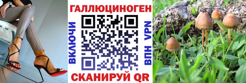 Псилоцибиновые грибы прущие грибы  дарк нет телеграм  Ревда  наркота 